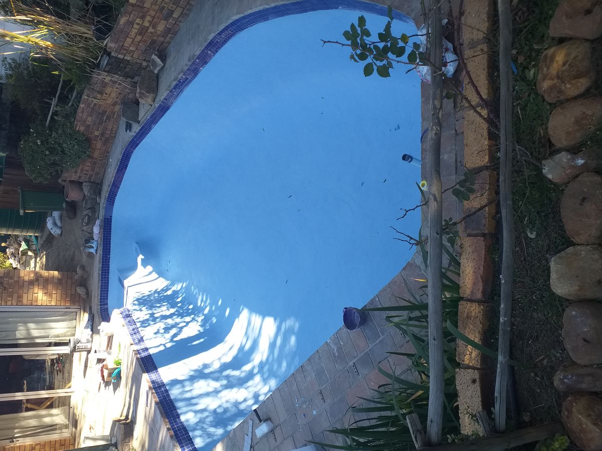 Pool and property maintenance services