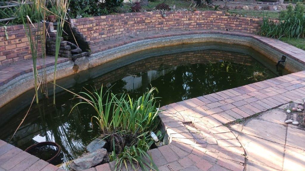 Pool Maintenance
